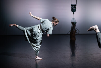 Dočasná Company: Our Land We Plant