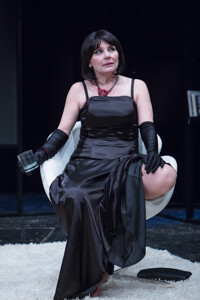 Kdo se bojí Virginie Woolfové?