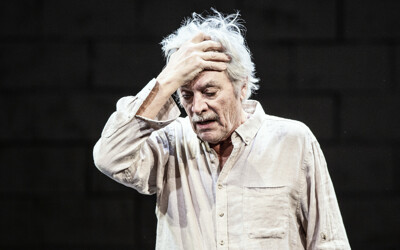 Přijde kůň do baru