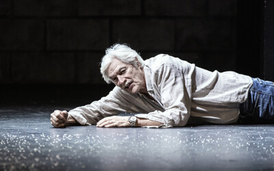 Přijde kůň do baru