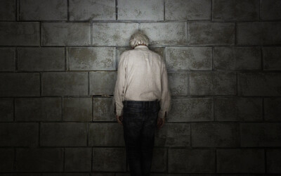 Přijde kůň do baru