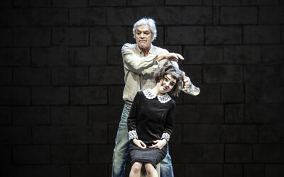 Přijde kůň do baru