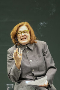 Švejk / Schwejk