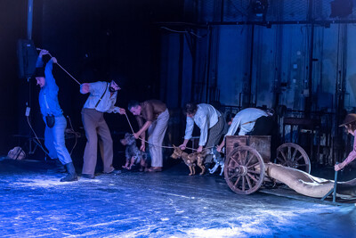 Po vlčích stopách