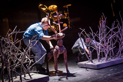 Po vlčích stopách