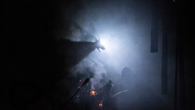 Volání divočiny / London Calling