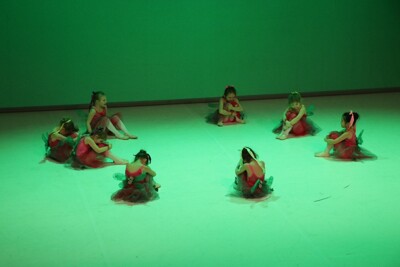 Novoroční taneční odpoledne