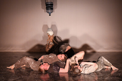 Dočasná Company: Our Land We Plant