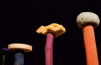 Antonie Rašilovová: Neboj, houbo