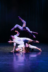 Bohemia Balet: Příběhy - Stories