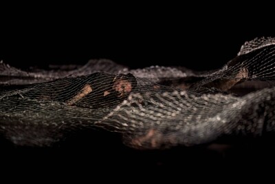 Lešanské jesličky