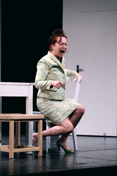 Shirley Valentine - Benefiční představení