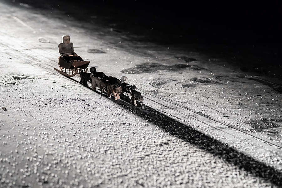 Po vlčích stopách