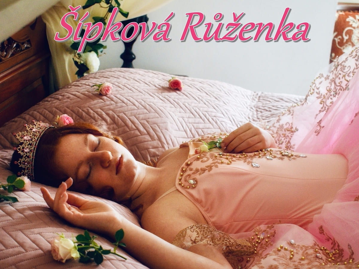 Šípková Růženka