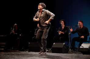 Compañía flamenca Juan Polvillo -